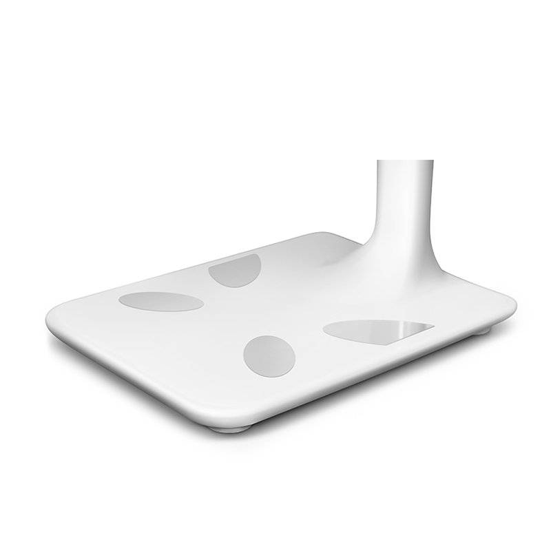 EF07 Height - Weight Scale