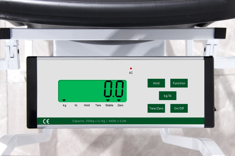 Mobile Wheelchair Scale