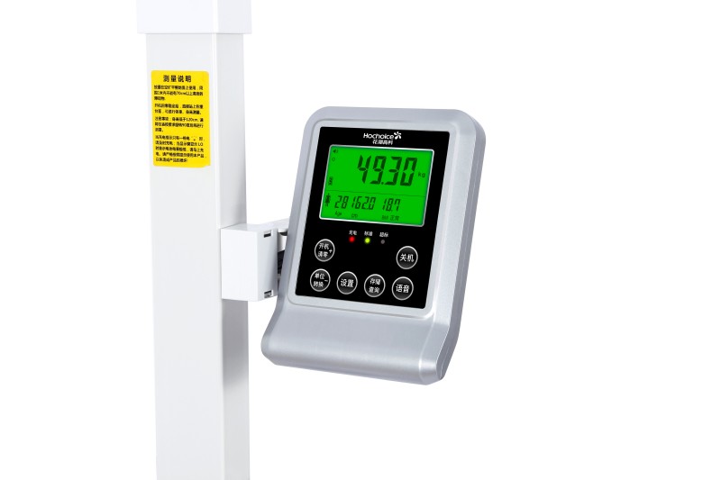 EF06S Height - Weight Scale